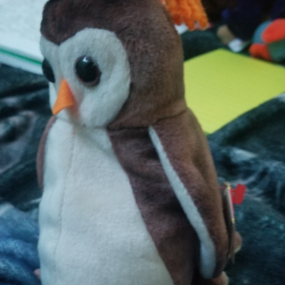 Wise beanie baby